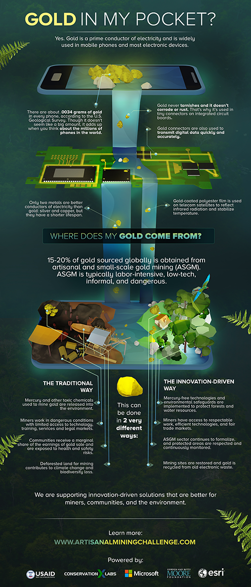 gold-in-your-phone-infographic_english2